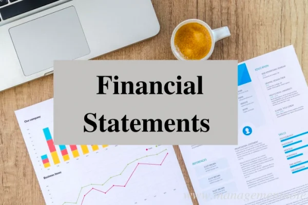 The Financial Statements: Its Principles and Functions
