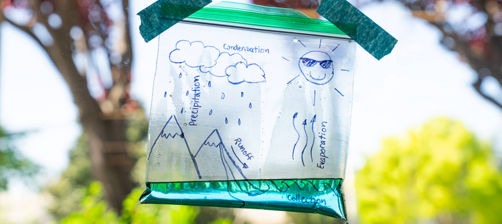 6 Easy Science Experiments for Kids to do at Home: 6. The Water Cycle In A Bag